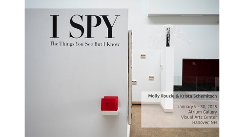 I SPY poster
