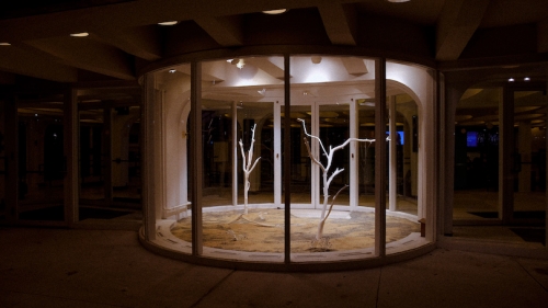 Image shows the Barrows Rotunda, a circular glass building with two bare white trees and tan and greay sand covering the floor of the space.