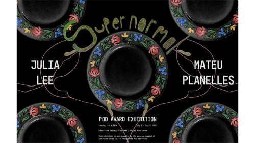 supernormal poster