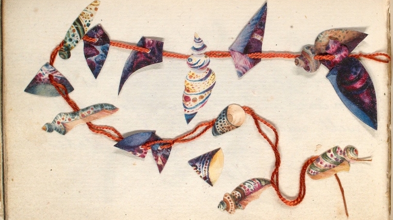Image shows a collage of sea shells separated on a yellowed page with orange embroidery floss threading them.