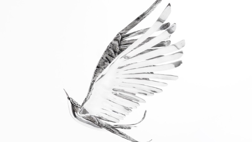Image of a silver bird with wings extended up vertically