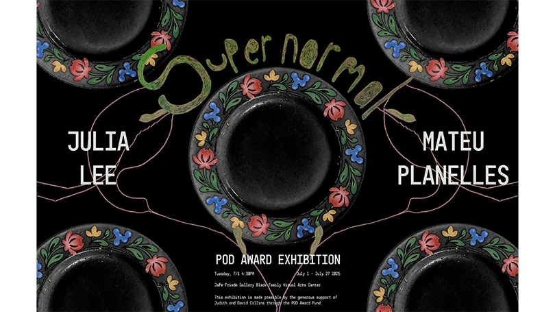 supernormal poster